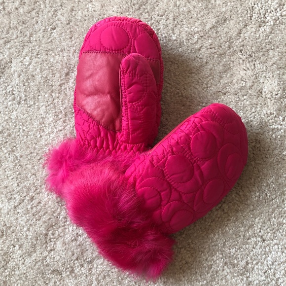 Coach Backpack with Gloves - Picture 9 of 13